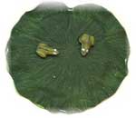 Lily Pad
